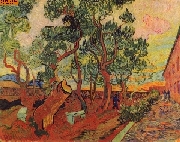 Irrenhausgarten von St-R�my nach van Gogh